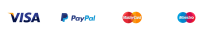 Payment options for Bontias V2 including Visa, PayPal, MasterCard, and Maestro.